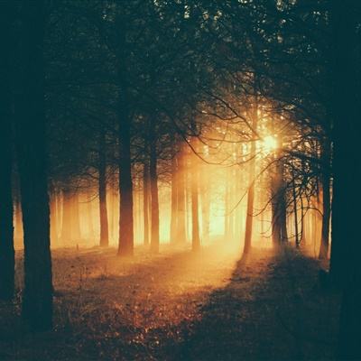 火狐官网手机app下载